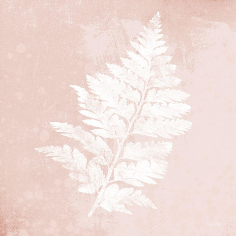 Blush Fern II Black Modern Wood Framed Art Print by House Fenway