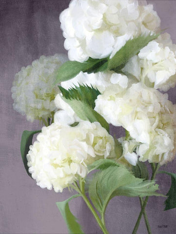 Snow Hydrangeas White Modern Wood Framed Art Print with Double Matting by House Fenway