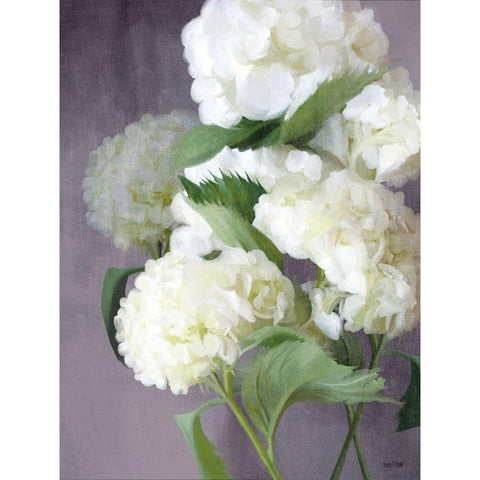 Snow Hydrangeas Black Modern Wood Framed Art Print by House Fenway