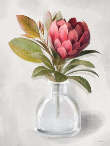 Protea Posie   White Modern Wood Framed Art Print with Double Matting by House Fenway