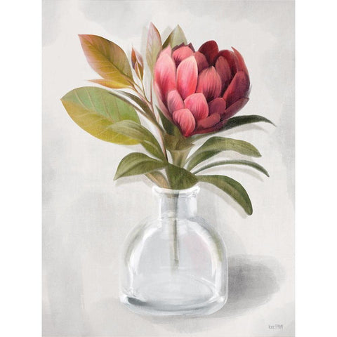 Protea Posie   Gold Ornate Wood Framed Art Print with Double Matting by House Fenway