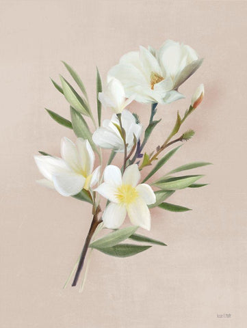 Spring Magnolias Black Ornate Wood Framed Art Print with Double Matting by House Fenway
