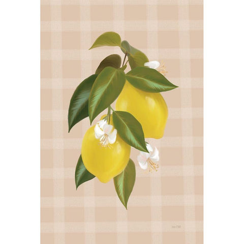 Lemon Botanical I   Black Modern Wood Framed Art Print with Double Matting by House Fenway