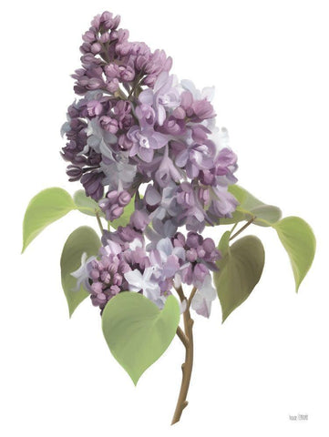 Lilac Stem White Modern Wood Framed Art Print with Double Matting by House Fenway