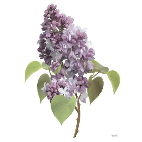 Lilac Stem Black Modern Wood Framed Art Print by House Fenway