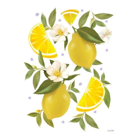 Citrus Lemon Botanical Black Modern Wood Framed Art Print with Double Matting by House Fenway