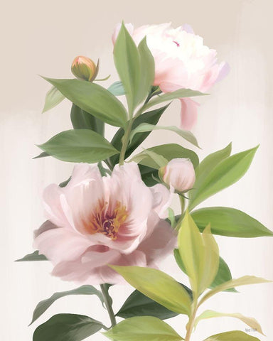 Washed Peonies White Modern Wood Framed Art Print with Double Matting by House Fenway