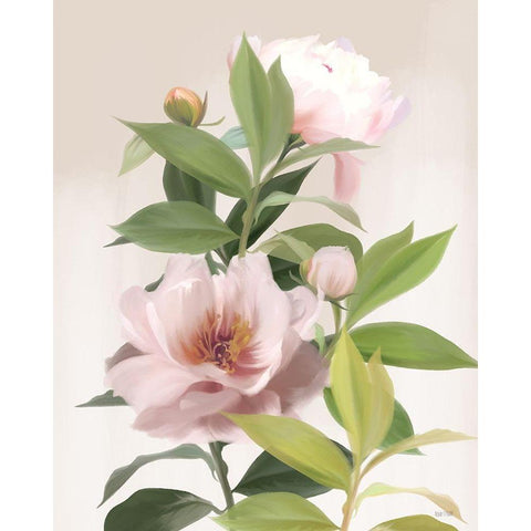 Washed Peonies Black Modern Wood Framed Art Print with Double Matting by House Fenway