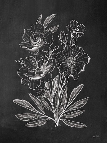 Vintage Chalkboard Flowers     Black Ornate Wood Framed Art Print with Double Matting by House Fenway