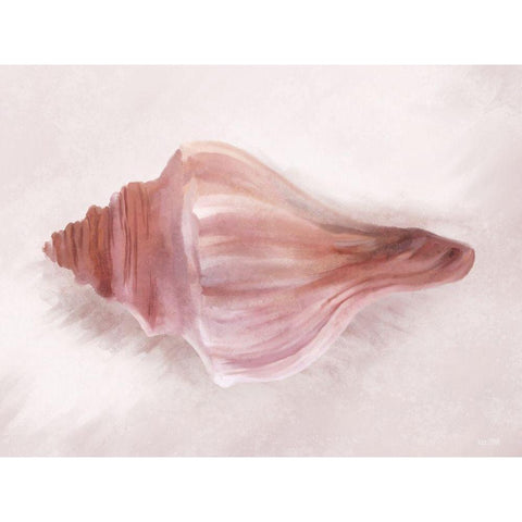 Conch Shell Blush I White Modern Wood Framed Art Print by House Fenway