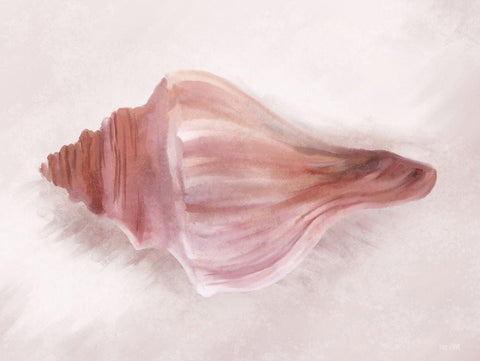 Conch Shell Blush I Black Ornate Wood Framed Art Print with Double Matting by House Fenway