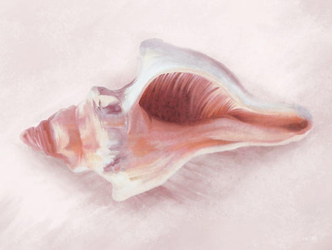 Conch Shell Blush II Black Ornate Wood Framed Art Print with Double Matting by House Fenway