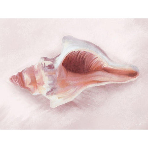 Conch Shell Blush II Gold Ornate Wood Framed Art Print with Double Matting by House Fenway