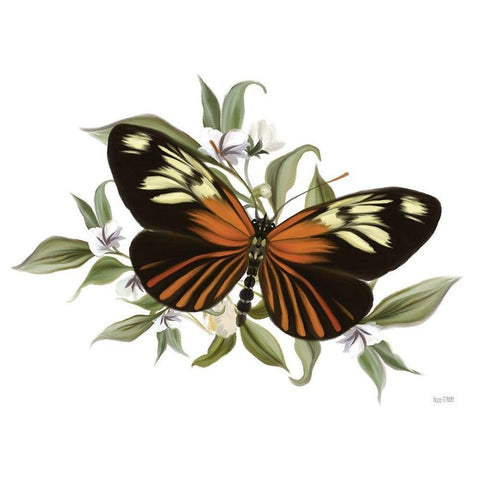 Botanical Butterfly Heliconius    Black Modern Wood Framed Art Print with Double Matting by House Fenway