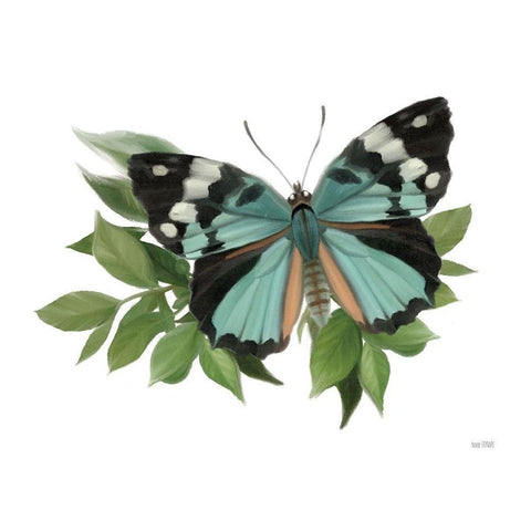 Botanical Butterfly Common Gem  Gold Ornate Wood Framed Art Print with Double Matting by House Fenway