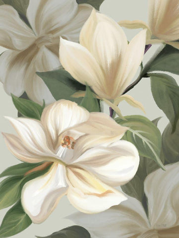 Magnolia Blossoms I Black Ornate Wood Framed Art Print with Double Matting by House Fenway