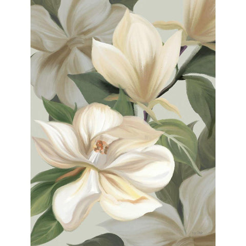 Magnolia Blossoms I Black Modern Wood Framed Art Print by House Fenway