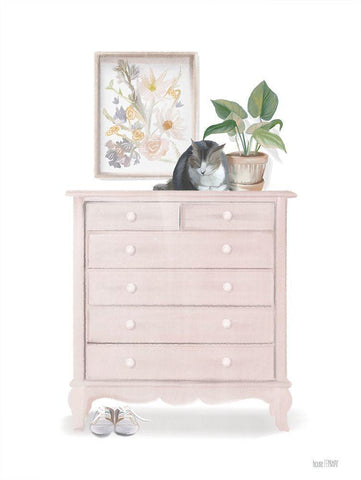 Cat Nap Spot White Modern Wood Framed Art Print with Double Matting by House Fenway