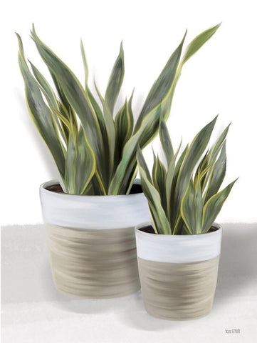 Snake Plant II Black Ornate Wood Framed Art Print with Double Matting by House Fenway