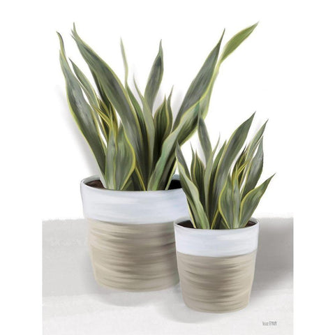 Snake Plant II Black Modern Wood Framed Art Print by House Fenway