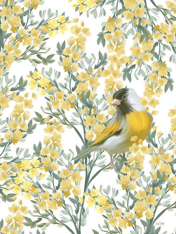 Yellow Spring Finch Black Ornate Wood Framed Art Print with Double Matting by House Fenway