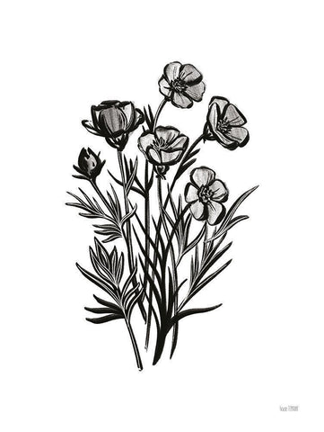 Pen and Ink Wildflower II White Modern Wood Framed Art Print with Double Matting by House Fenway