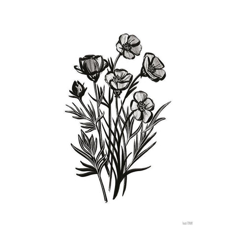 Pen and Ink Wildflower II Black Modern Wood Framed Art Print by House Fenway
