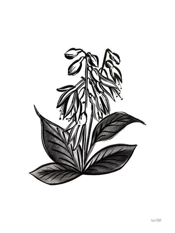 Pen and Ink Wildflower III White Modern Wood Framed Art Print with Double Matting by House Fenway