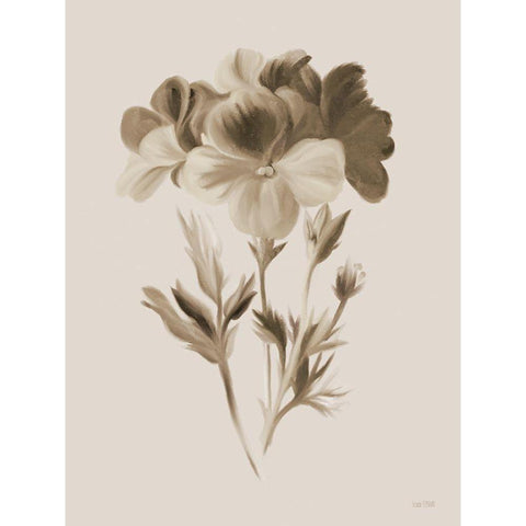 Sepia Botanical I     White Modern Wood Framed Art Print by House Fenway