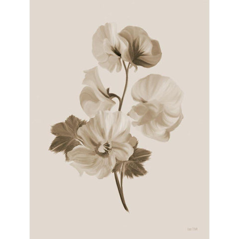 Sepia Botanical II     White Modern Wood Framed Art Print by House Fenway