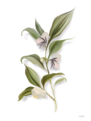 White Blossom Botanical White Modern Wood Framed Art Print with Double Matting by House Fenway