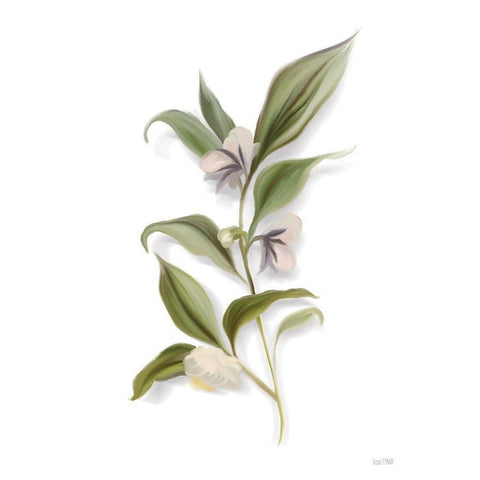 White Blossom Botanical Black Modern Wood Framed Art Print by House Fenway