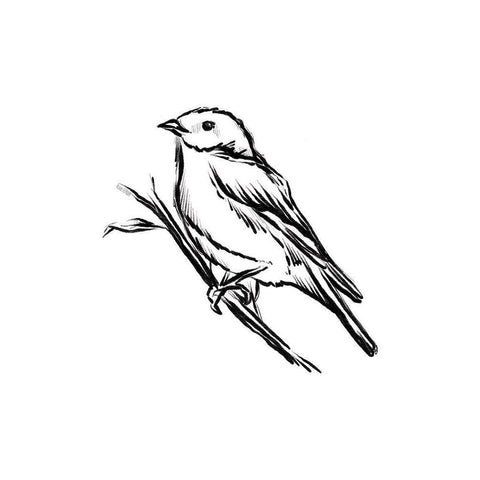 Songbird Sketch II White Modern Wood Framed Art Print by House Fenway