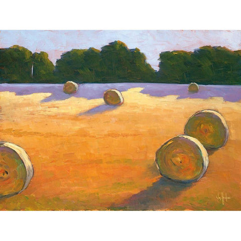 While The Hay Shines Black Modern Wood Framed Art Print with Double Matting by Hawkins, William