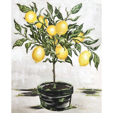 Lemon Tree Gold Ornate Wood Framed Art Print with Double Matting by Hollihocks Art