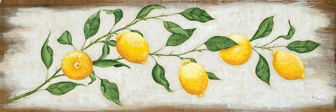 Lemon Branch White Modern Wood Framed Art Print with Double Matting by Hollihocks Art