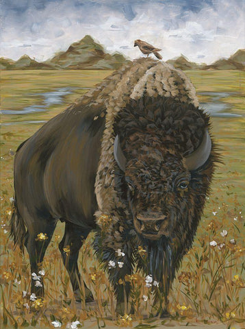 Bison    Black Ornate Wood Framed Art Print with Double Matting by Hollihocks Art