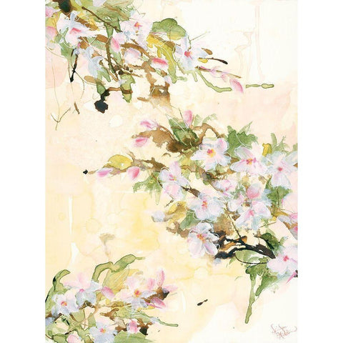Cherry Blossoms Black Modern Wood Framed Art Print with Double Matting by Holden, Jennifer