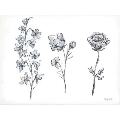 Floral Trio Black Modern Wood Framed Art Print with Double Matting by Holden, Jennifer