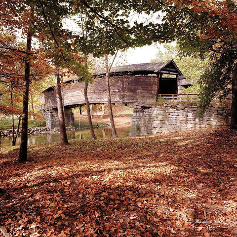 Humpback Fall White Modern Wood Framed Art Print with Double Matting by Hoover, Irvin