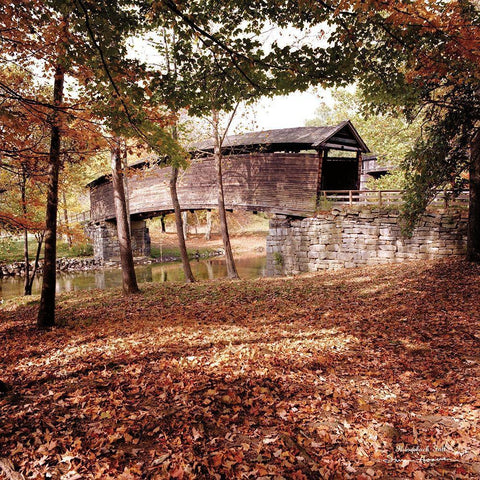 Humpback Fall Black Modern Wood Framed Art Print by Hoover, Irvin