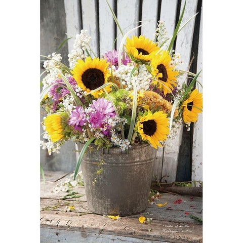 Bucket of Sunshine White Modern Wood Framed Art Print by Hoover, Irvin