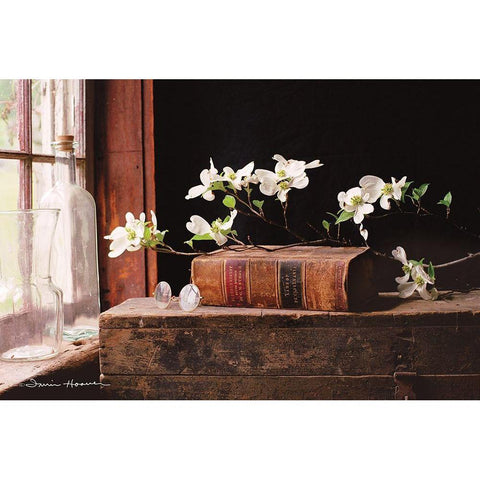 Natures Law White Modern Wood Framed Art Print by Hoover, Irvin