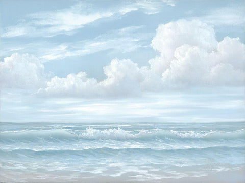 Light Seascape Black Ornate Wood Framed Art Print with Double Matting by Janisse, Georgia