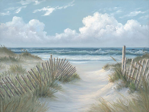 Pathway Through the Dunes White Modern Wood Framed Art Print with Double Matting by Janisse, Georgia