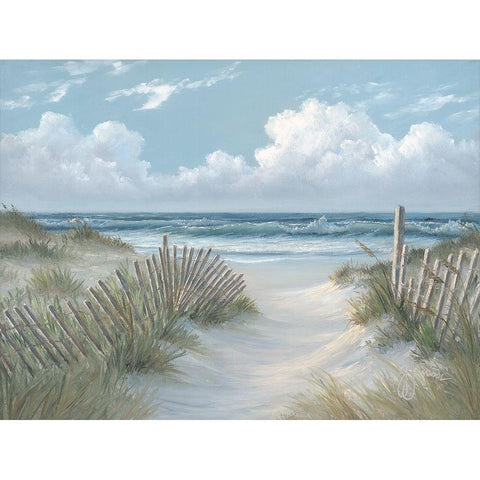Pathway Through the Dunes Black Modern Wood Framed Art Print by Janisse, Georgia