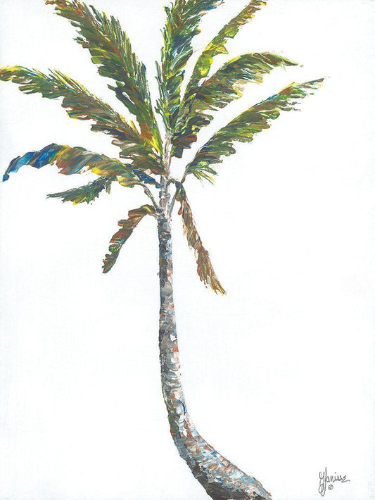 Image Only