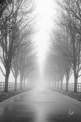 Curious Road Black Ornate Wood Framed Art Print with Double Matting by Spivey, Justin