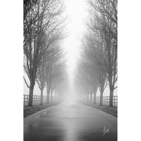 Curious Road White Modern Wood Framed Art Print by Spivey, Justin