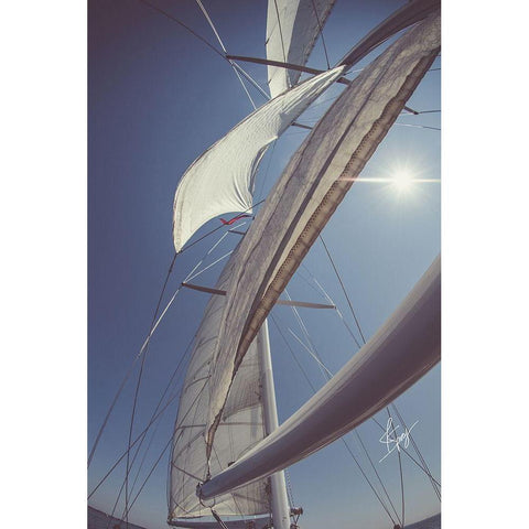 Clear Sailing Gold Ornate Wood Framed Art Print with Double Matting by Spivey, Justin